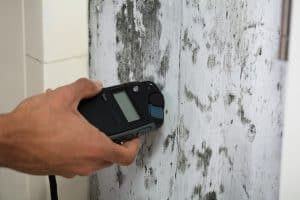 Mold testing & remediation