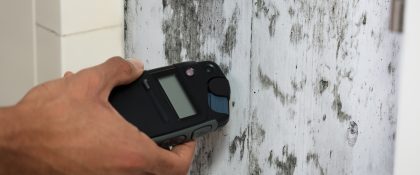 Mold testing & remediation